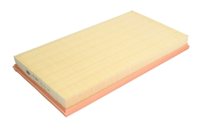 Въздушен филтър  - MANN FILTER C 42 192/1